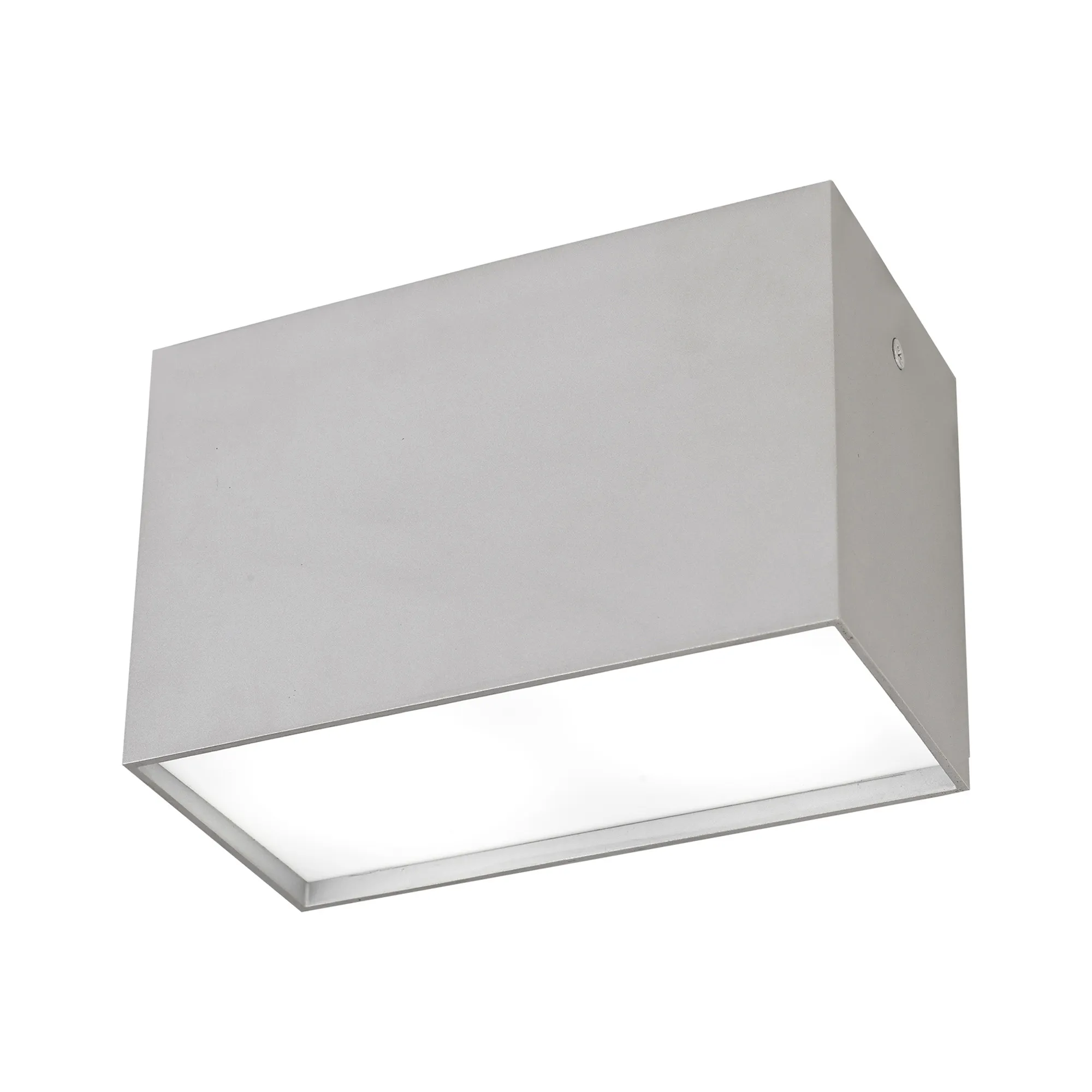 M5630  Kailua Flush Rectangular 2 Light Silver Painted